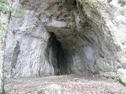 Jazbina